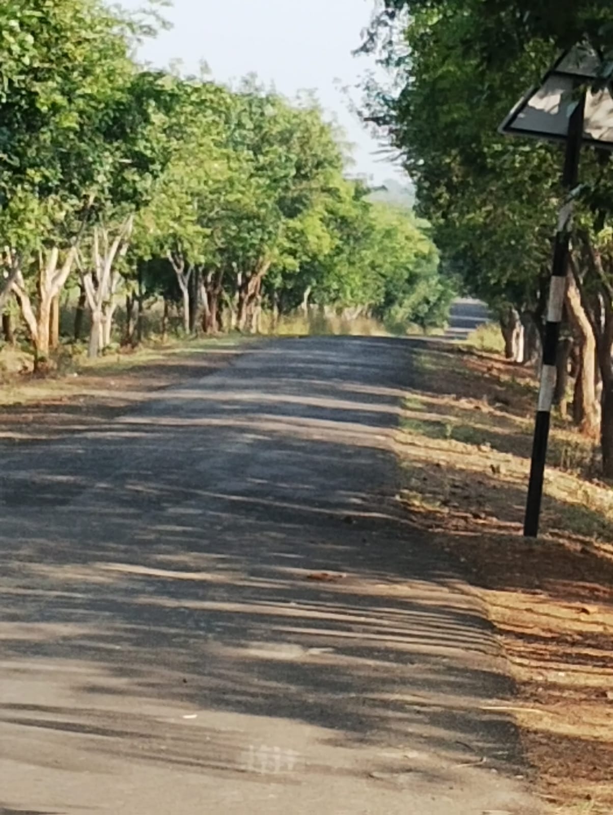 गावातील मार्ग